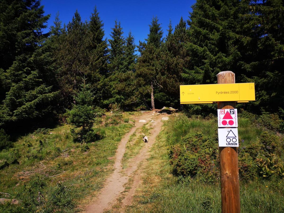 Apt Confortable Au Pied Des Pistes Et De La Foret Bolquere Екстер'єр фото