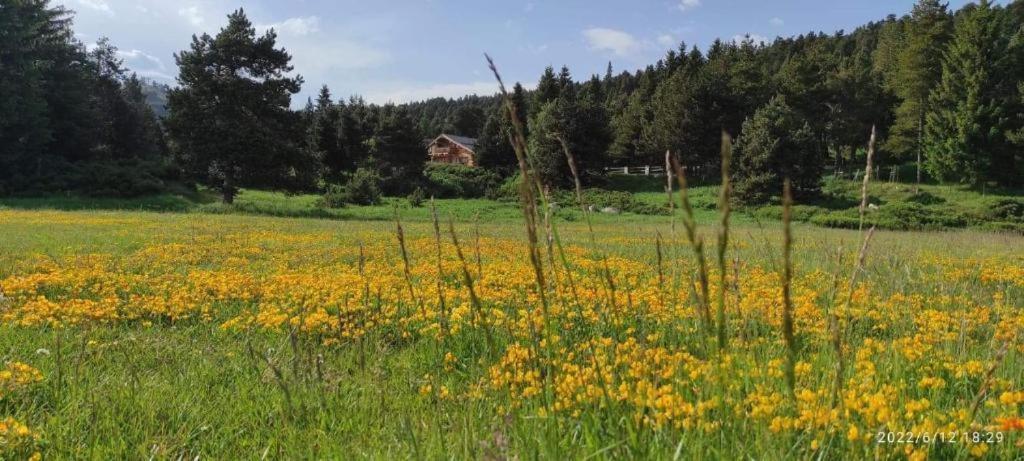 Apt Confortable Au Pied Des Pistes Et De La Foret Bolquere Екстер'єр фото